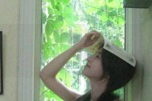 纷纷扰扰的网络，安卓端“17一起吃瓜”给你带来的新鲜资讯！