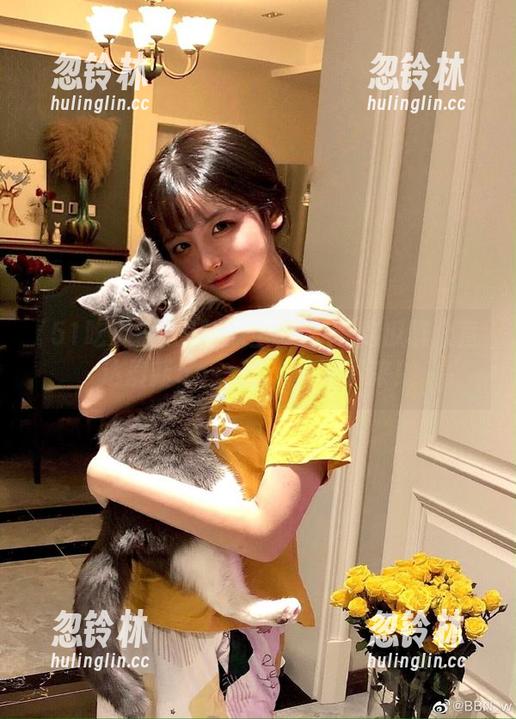 吃瓜上瘾？51吃瓜群众直达最新gossip，停不下来！