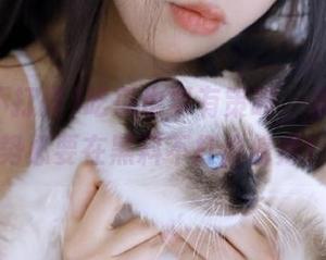 吃瓜也要有策略，永不迷路势必要在黑料不打烊修炼！