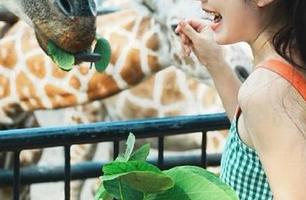 擦亮眼睛，最新八卦一网打尽，“黑料不打烊”带你飞！