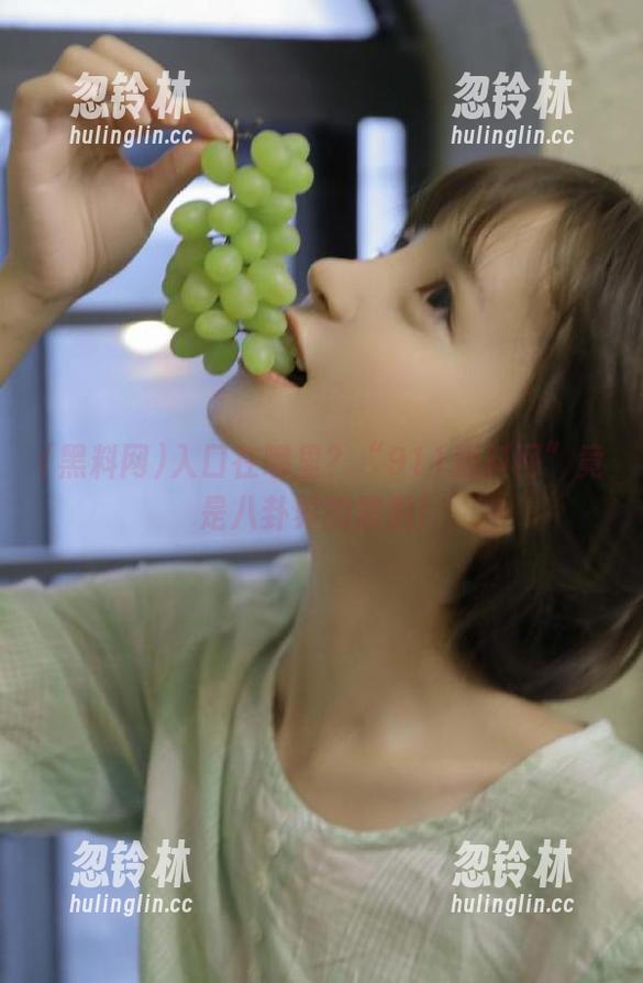 入口在哪里？“911黑料网”竟是八卦界的黑洞！