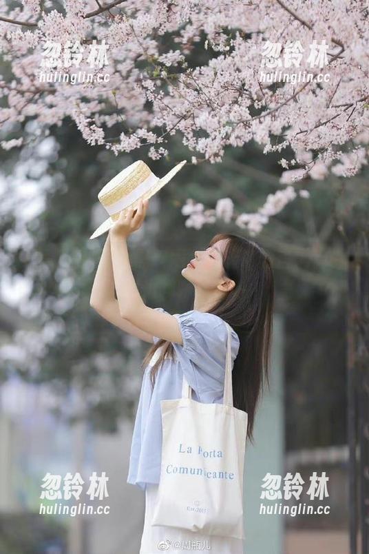登录黑料网，今天的谣言涌动，网边聊聊八卦吧